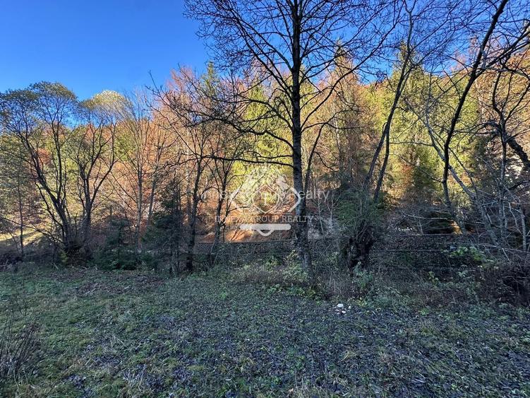 Teren 2.882 mp – oportunitate investitie - Cheile Dâmbovicioarei - 8