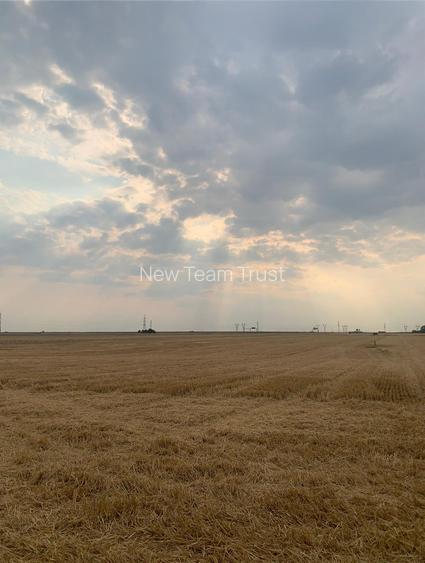 Stefanesti de Jos DJ200 Vanzare  Suprafata Compacta 3 hectare - 4