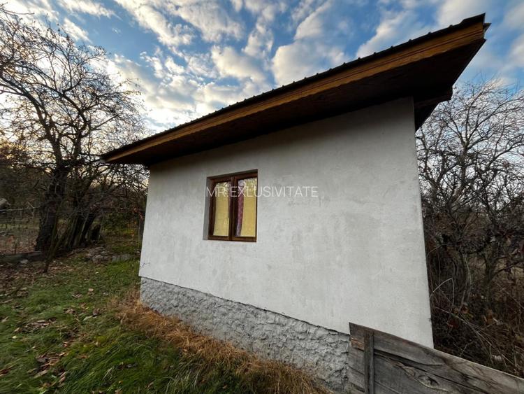 Casă + teren generos de vânzare în Strâmba Jiu - 4