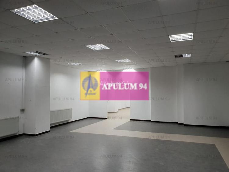 Locul Potrivit pentru afacerea ta - Otopeni- Calea București - 6