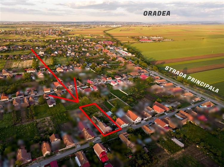 RECO Casa in Girisu de Cris, la 12 km de Oradea - 5