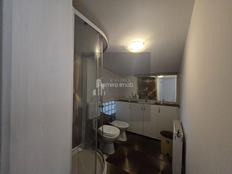 Apartament /casa 150m utili -an1990 Corneliu Coposu-Calarasilor Unirii - 21