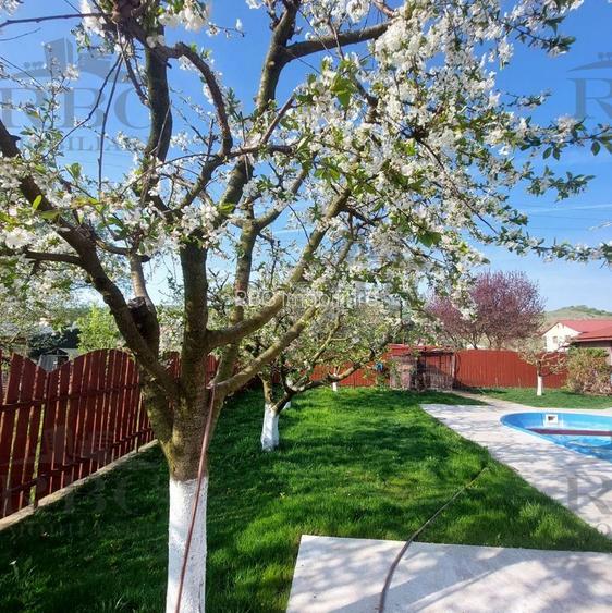 Casa cu piscina si teren 1400 mp in Chinteni - 26