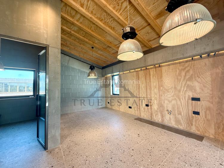 Vila noua in Cartierul Dorobanti- zona de case - 20