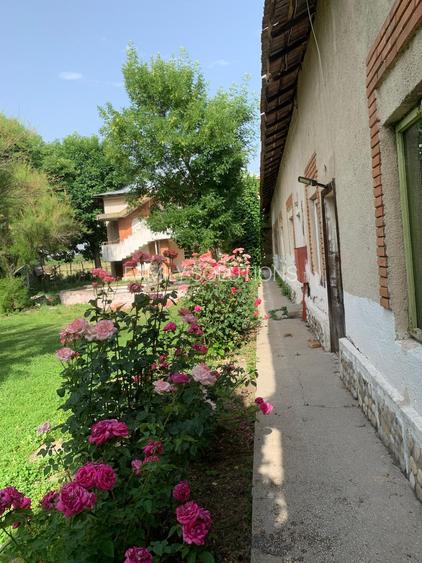 De Vânzare – Fermă de Pomi Fructiferi, 48,8 ha, Iancu Jianu, Jud. Olt - 21