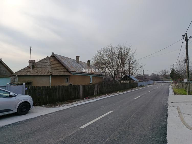 Casă + Teren 4625 mp – Cataloi (10 min de Tulcea) - 3