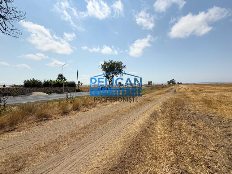 Teren intravilan M. Kogalniceanu, 4000MP, la drumul national - 6