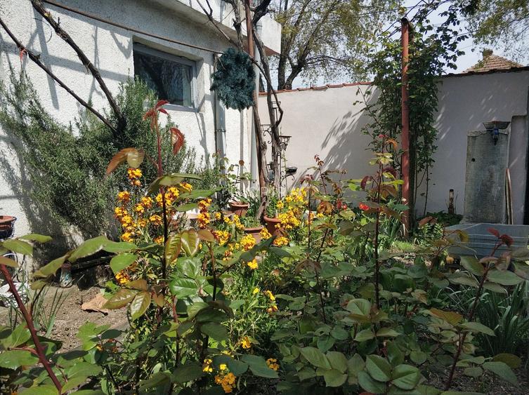 Km 4-5 - Casa renovata, situata in centrul cartierului - 14