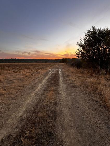 Teren extravilan 5000 , 2,5 euro mp BREASTA - 3