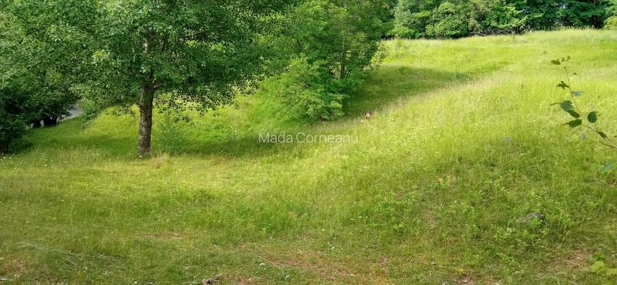 Vând teren Nistoresti Breaza Prahova - 3