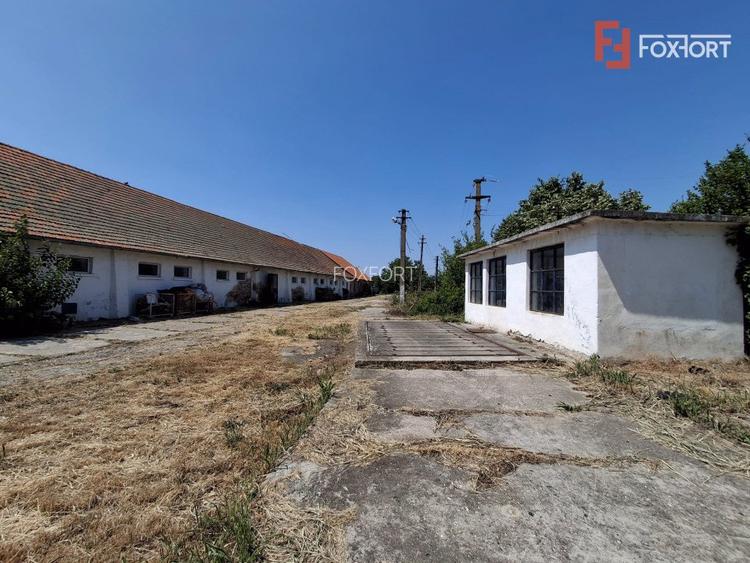 COMISION 0% Spatiu industrial de 695 mp si teren de 1821 mp - Giulvaz - 10