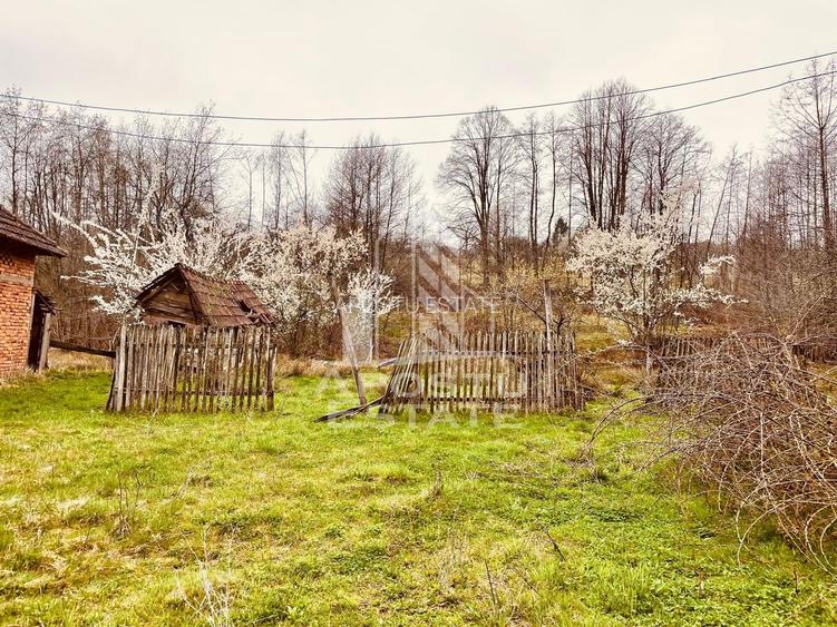 Casa cu potential amenajare pescarie- Zona Varfurile - 11