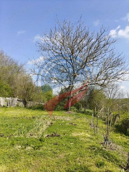 CASA LA 20 KM DE CRAIOVA CU 10000 MP. TEREN - 3