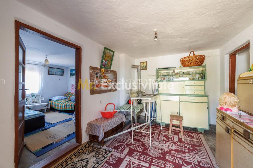 CASA SI GOSPODARIE DE VANZARE – SPINENI, OLT | 4.000 MP TEREN - 10