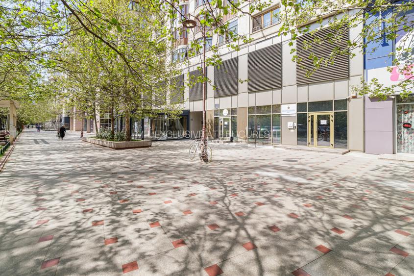 6 camere Pta Alba Iulia - de inchiriat - 26