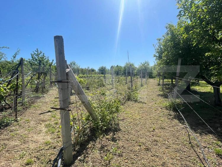 Proprietate cu casa si teren in Oradea - 5