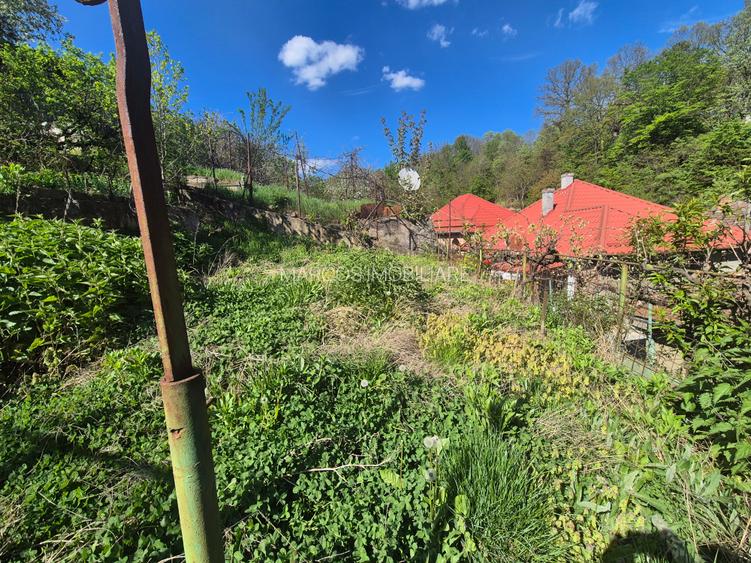 Casa langa Gradina Zoologica - 9