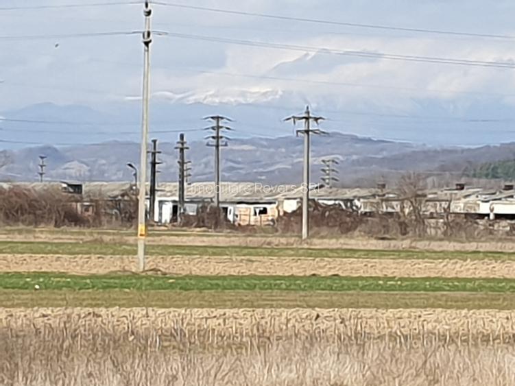 TEREN AGRICOL BABENI LANGA ABATOR LA PROVINCIA - pretabil ferma cu panour solare - 30