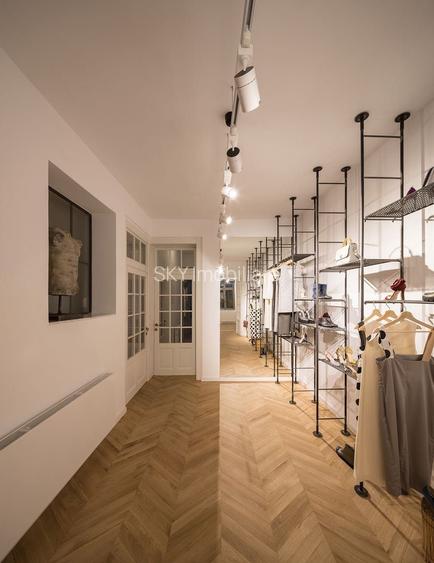 Spațiu Premium I  Vilă Cotroceni I - 4