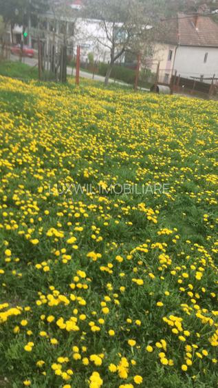 Vânzare teren intravila  2030 mp, cu casa demolabila,  în comuna Cojocna - 5