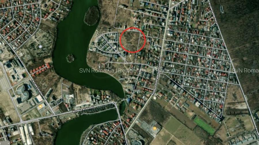 REL4000563 Teren 1000 mp Sisesti - 6