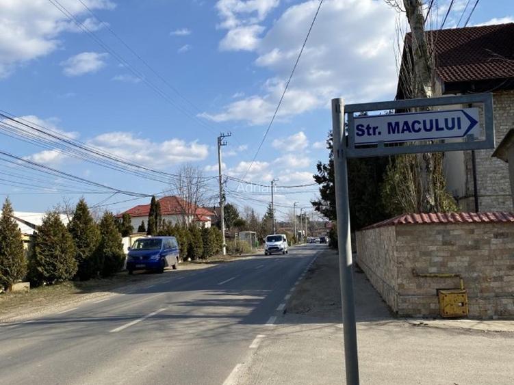 15000 mp padure! - 4