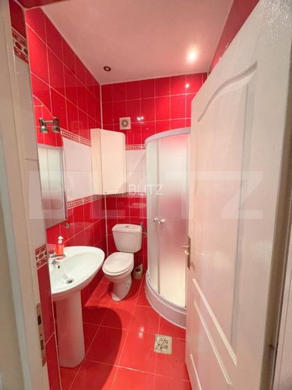 Casa individuala, 6 camere, 196 mp, zona Parc 14 Iulie-Grigorescu - 10