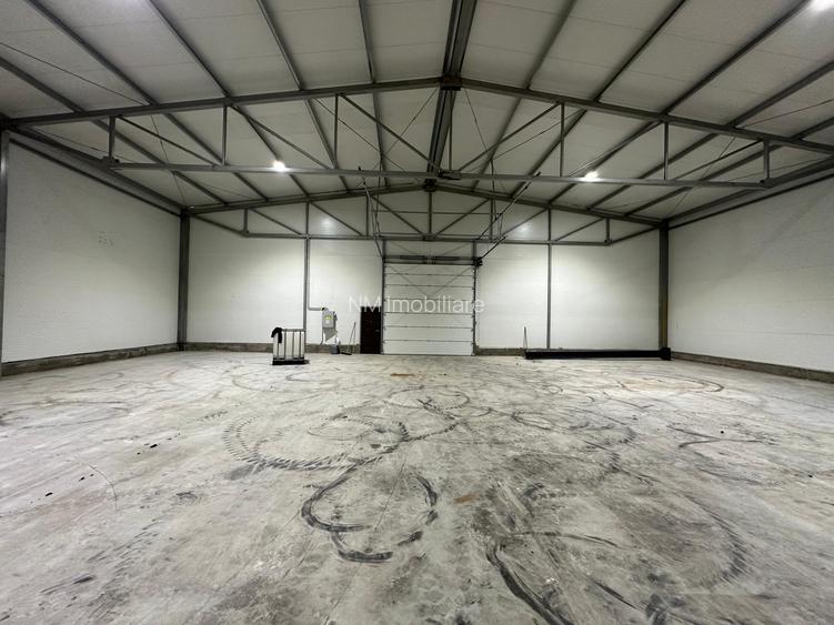 Drumul intre Tarlale – zona Catelu, hala 595 mp - 2