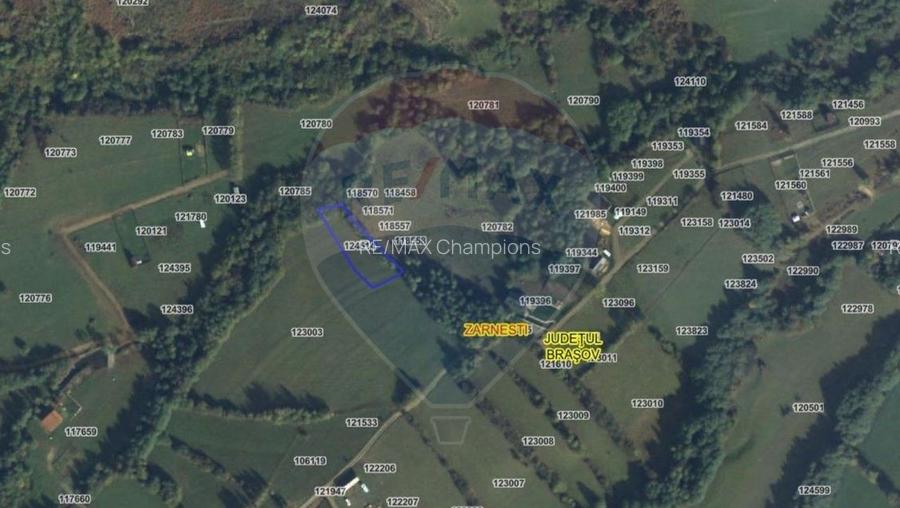 Teren intravilan | Panorma Bucegi, Magura, P. Craiului - 5