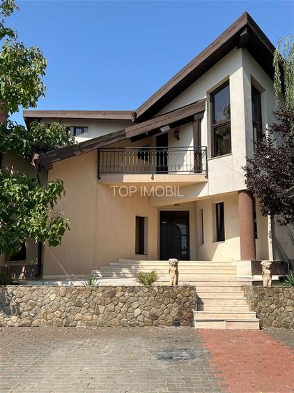 Vila Exclusivista - Visan - Profi - 4