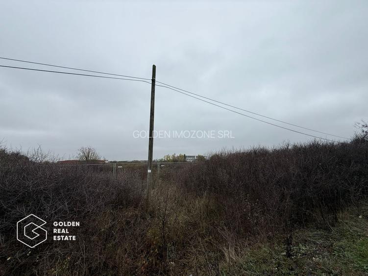 Terenuri pentru Hale si Constructii Industriale, Chișoda / Giroc,Timiș - 2