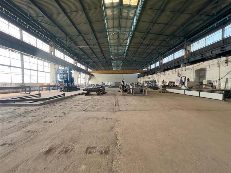 Vanzare hala Calea Chisinaului Iasi, zona Carrefour, 4482mp - 9