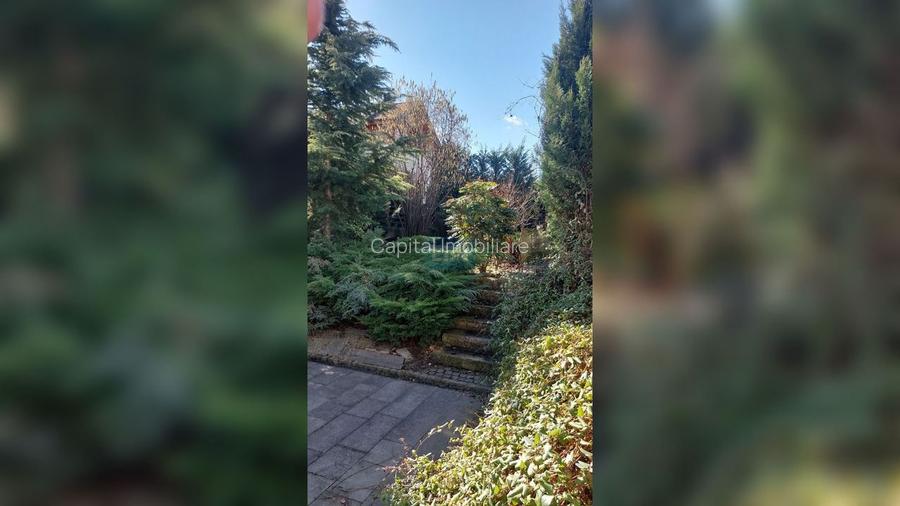 Spatiu de birouri de inchiriat in Andrei Muresanu - 7