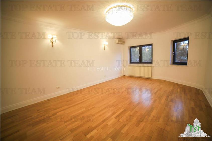 Vila pretabila rezidenta/office Iancu Nicolae - 7