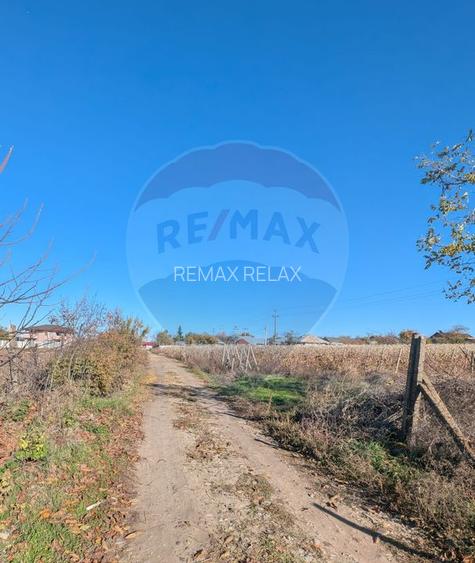 Teren 1,200mp Perieni / Drumul poiana sat - 2