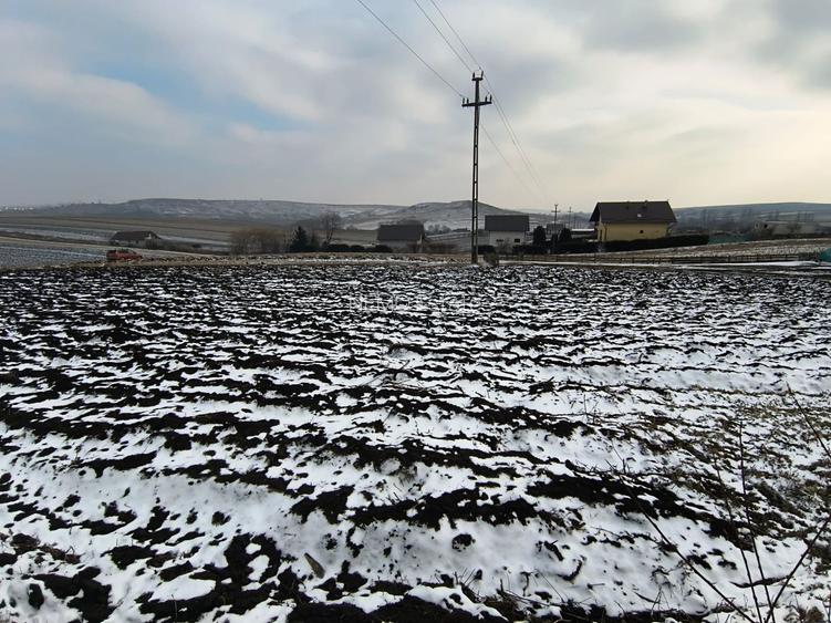 Teren 991 MP | Moara Nica | 22 ml Deschidere | Utilități | 38.000 € - 2