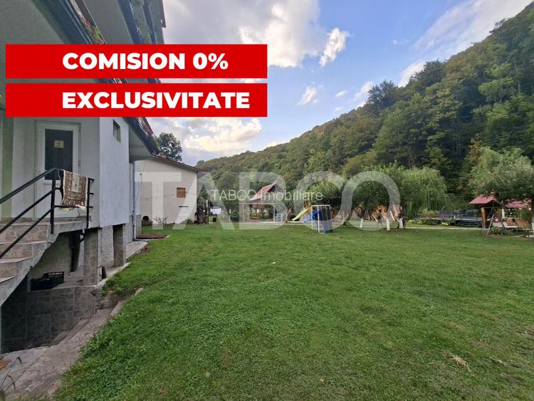 Spatiu de vanzare in Valea Macesului judel Valcea iesire la Lotru - 2