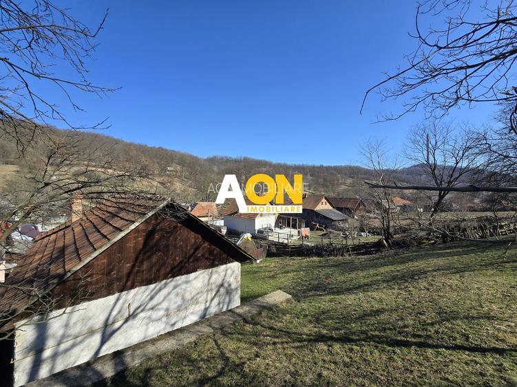 Casa de Vacanta 2 Camere, Strada Morilor Zlatna - 9