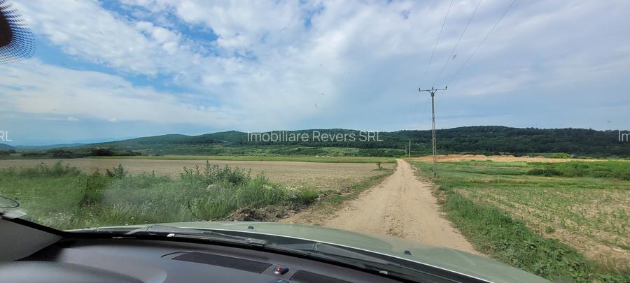 TEREN AGRICOL BABENI LANGA ABATOR LA PROVINCIA - pretabil ferma cu panour solare - 19