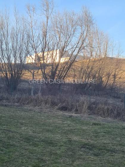 Teren intravilan, 1253 mp ,utilitati,Borhanci-Sopor - 4