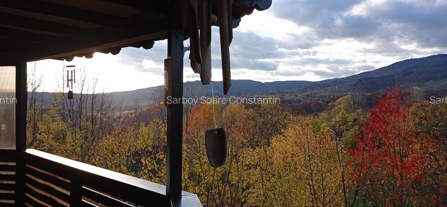 CASĂ DE VACANȚĂ ÎN COMARNIC - 10