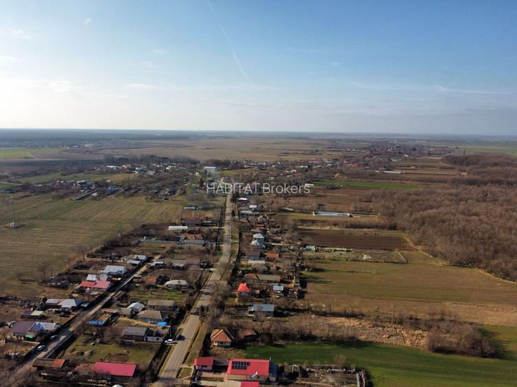 Ferma si livada de meri in judetul Ilfov - 9