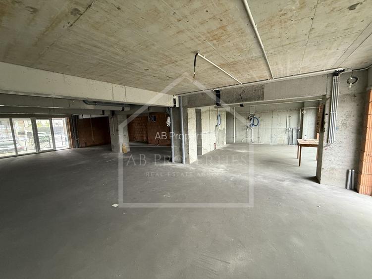 Spatiu Comecial 155 MP UTILI - 3