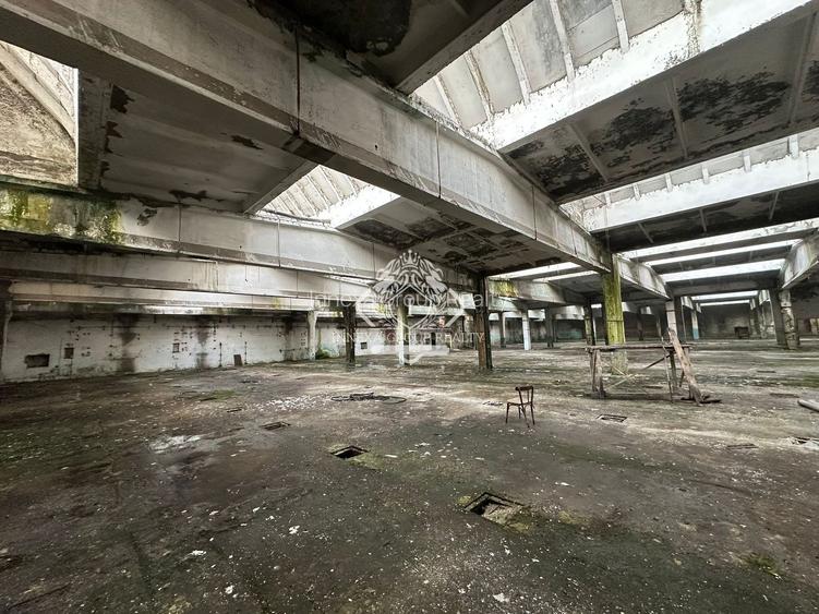 Fabrica si Teren pentru industrie – putere mare curent + gaze I Pucioasa - 4