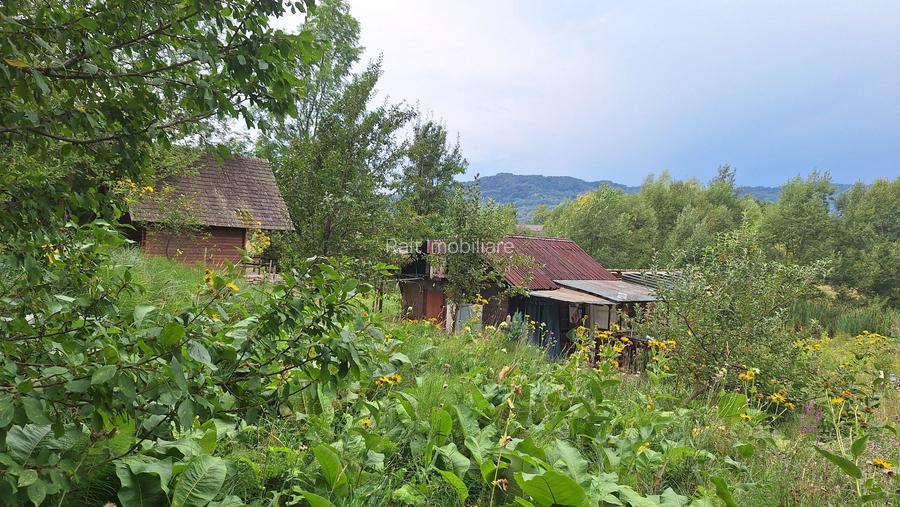 VANZARE ANSAMBLU CASUTE BRADULET ARGES - 11