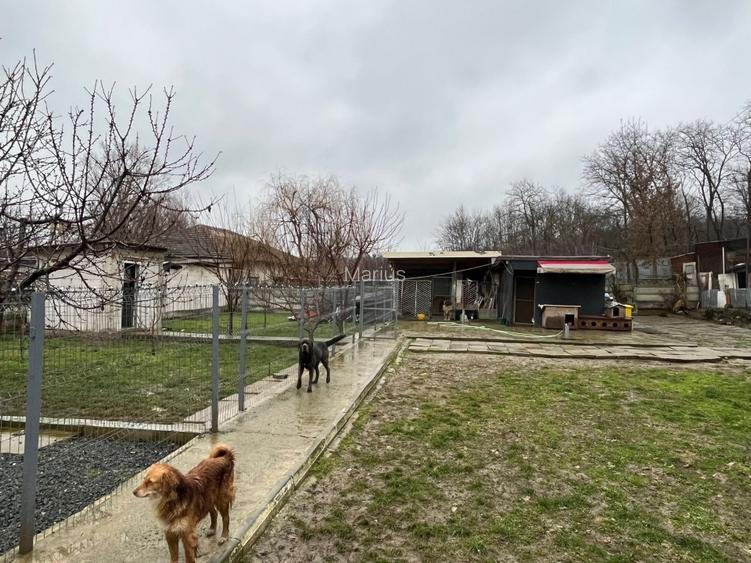 Vând teren în Cernavodă perfect pentru construit locuința  - 6