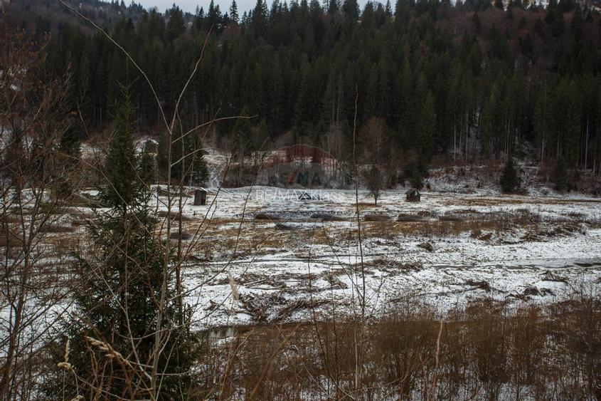 De vanzare | Teren Intravilan | Sat Sabasa, Comuna Borca, Neamt | - 6