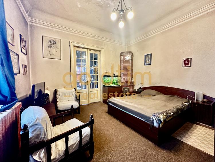 Vila interbelica D+P+1+M+spatii comerciale 340mp/necesita renovare/Gara de Nord - 6