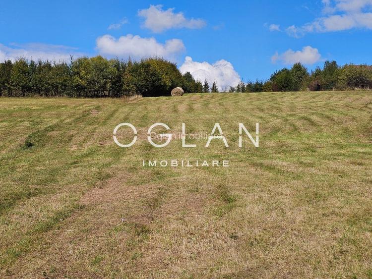 Teren Tocile (parcelabil) 3500 mp  - 9