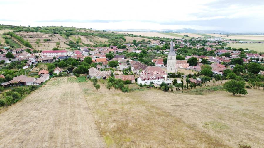 Istorie si potential – Proprietate unica in Cricau, judetul Alba - 14